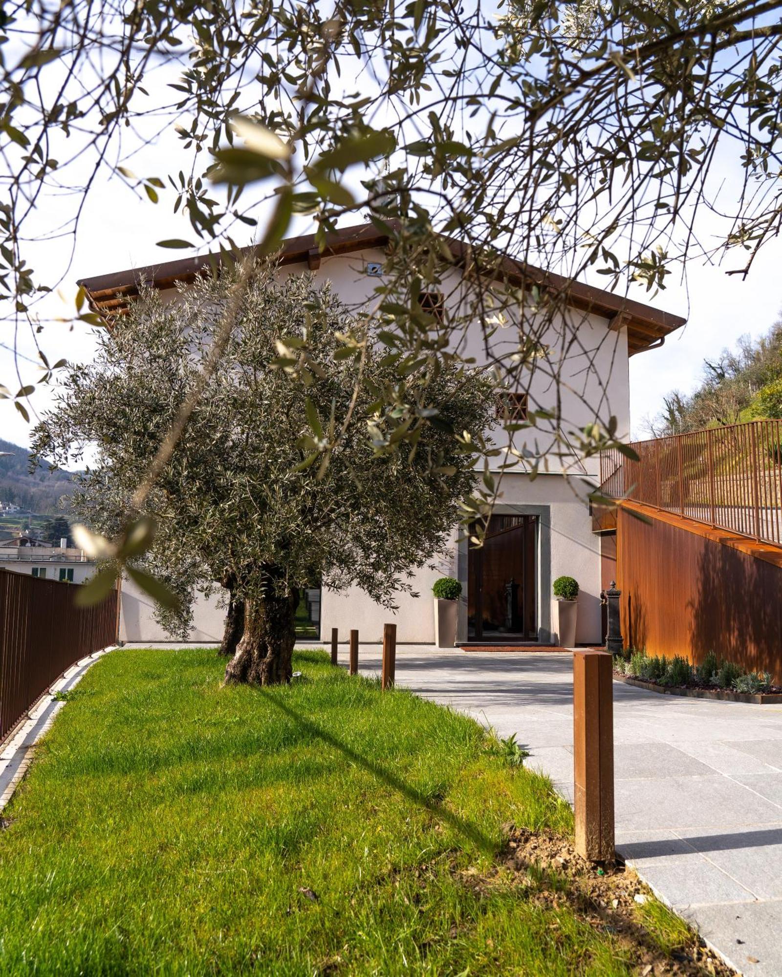Il Pradicciolo Agriturismo Castelnuovo di Garfagnana Zewnętrze zdjęcie